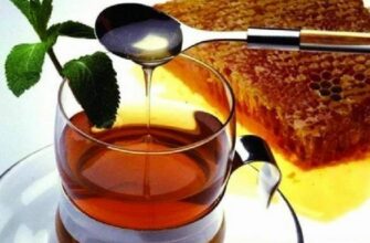 Жиросжигающий напиток из меда и корицы