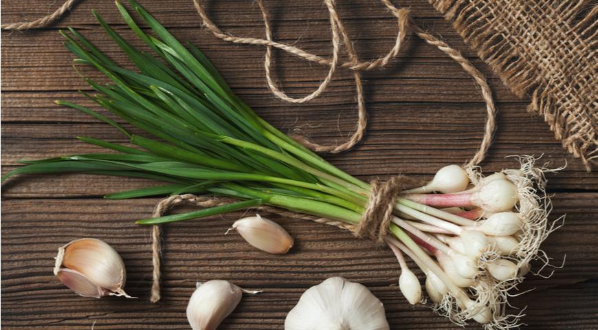 5 продуктов, которые нужно есть прямо сейчас, чтобы быть здоровым осенью