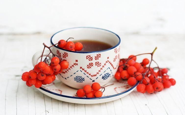 10 видов чая, которые растопят лишние килограммы