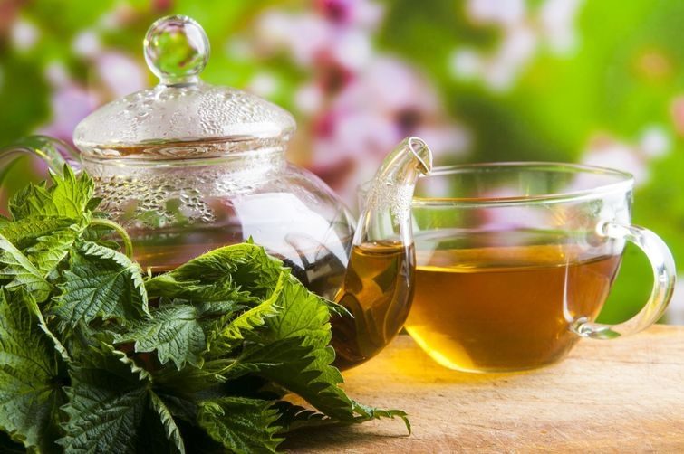 10 видов чая, которые растопят лишние килограммы