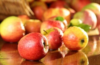 Топ 10 продуктов, которые нужно есть, чтобы защитить легкие от коронавируса