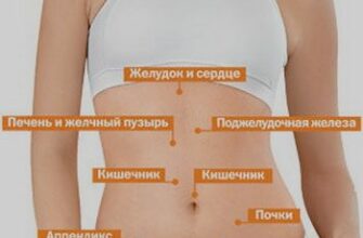 Почему болит живот?
