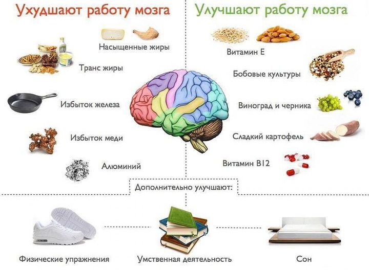 Ошеломительные факты о человеческом теле