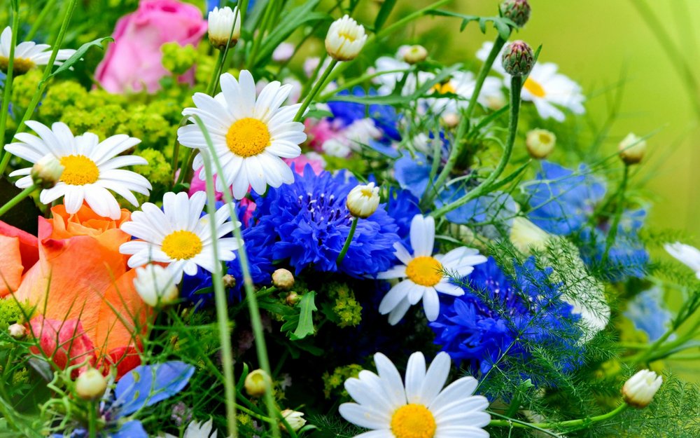 Энергетика летних цветов: какой букет поставить в вазу, чтобы привлечь благополучие