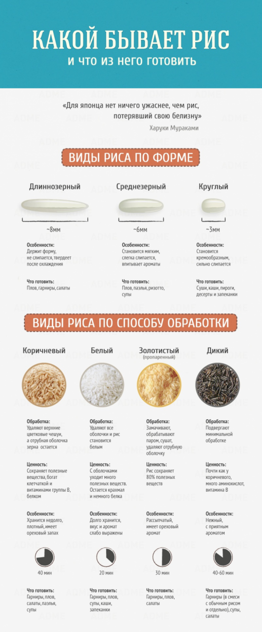 Гид по кухне и готовке
