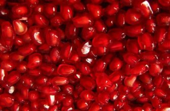 5 лучших продуктов для очистки сосудов от холестерина