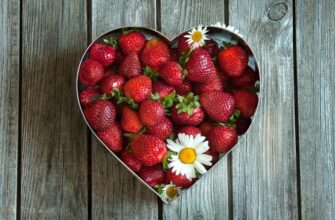 Какие продукты отвечают за здоровье сердца? Советы кардиолога