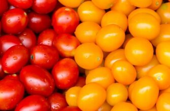 Чем желтые томаты отличаются от красных? Какие помидоры полезнее и вкуснее?