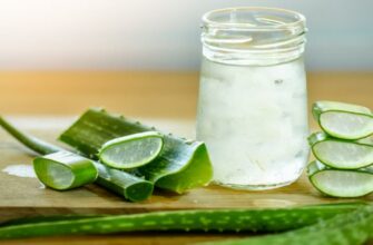 Как использовать алоэ помимо лечения солнечных ожогов плюс рецепт вкусного напитка