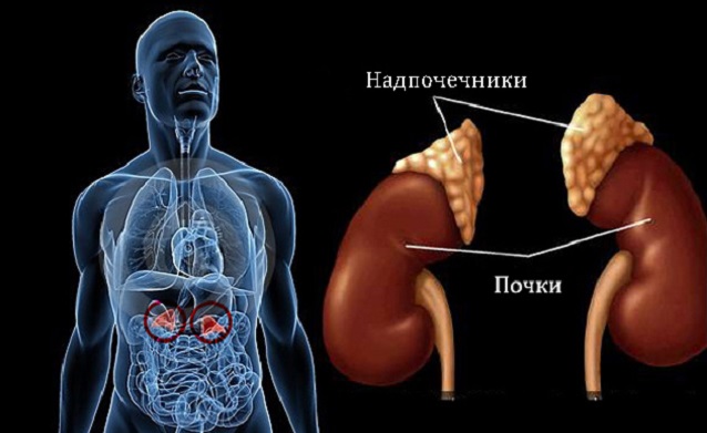 Как вернуть фигуру после 35 и ускорить обмен веществ: качественное похудение без диет