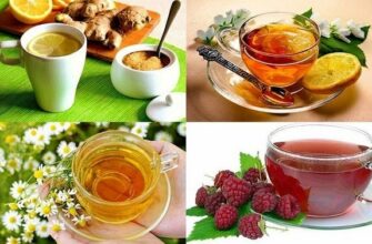 10 ЦЕЛЕБНЫХ НАПИТКОВ ОТ ПРОСТУДЫ