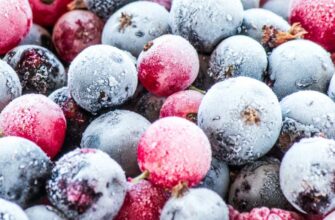 Все, что вам нужно знать про заморозку продуктов на зиму