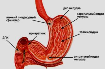 Как узнать, есть ли у вас язва желудка