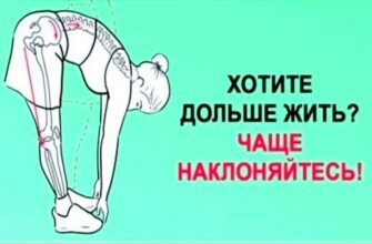 Хочешь жить дольше? Чаще наклоняйся!