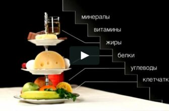 Лучшие способы справиться с голодом