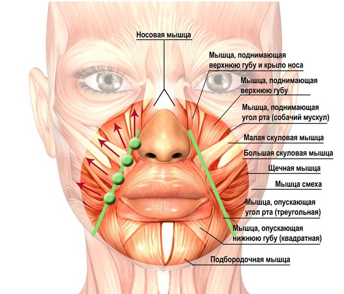 Упражнения для носогубных складок