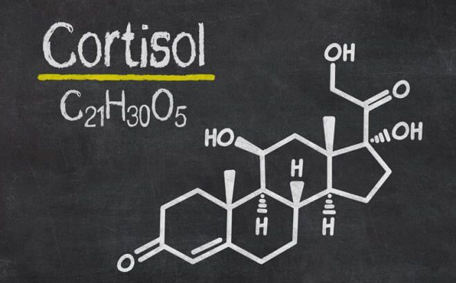 Почему так важен кортизол для организма
