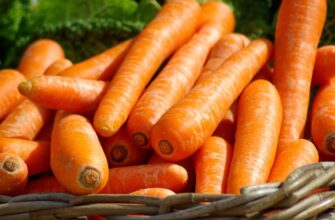В каких продуктах содержится витамин А