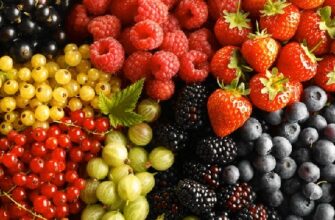 Топ 12 лучших продуктов, которые помогут всем женщинам легко сбросить вес