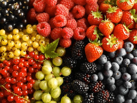 Топ 12 лучших продуктов, которые помогут всем женщинам легко сбросить вес