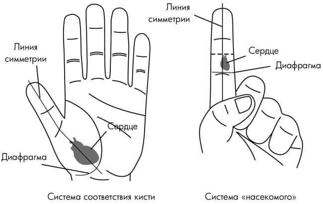 Точки на теле, которые спасут от сердечной боли