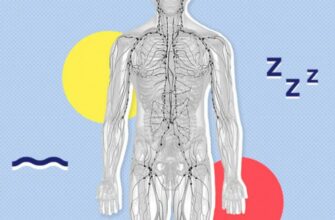 6 шагов к детоксикации через лимфатическую систему