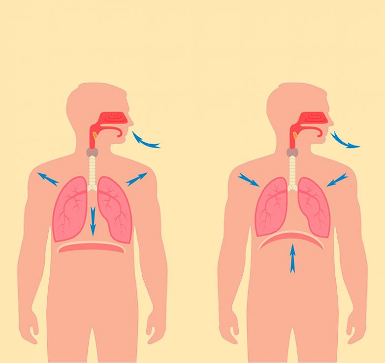 Дыхательная гимнастика по Бутейко