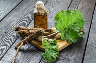 Какие лекарства растут на вашем участке