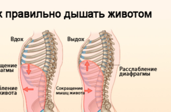 Насколько полезно дыхание животом