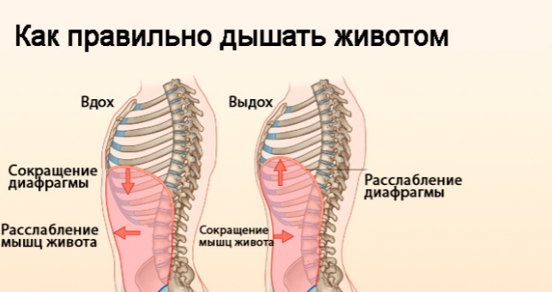 Насколько полезно дыхание животом