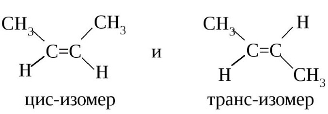 Стоит ли опасаться трансжиров