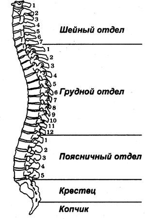 Главные правила здоровья