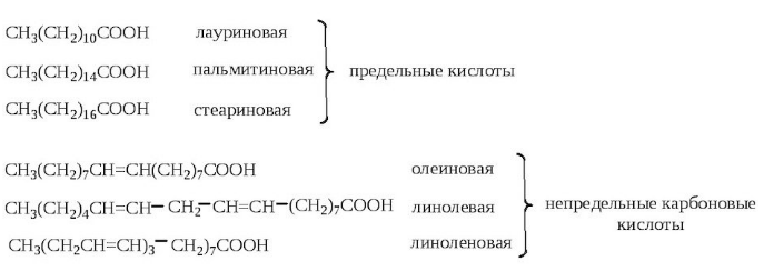 Стоит ли опасаться трансжиров