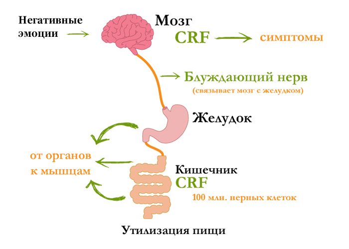 Как эмоции влияют на наше здоровье