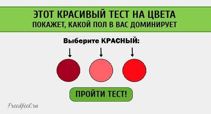 Этот красивый тест на цвета покажет, какой пол в вас доминирует!