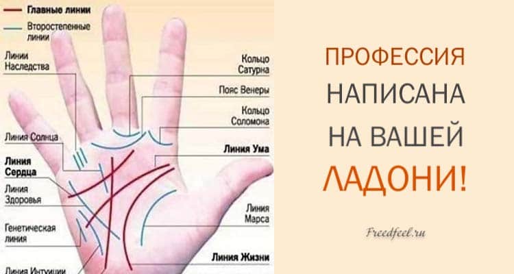 Профессия написана на вашей ладони. Не могу не согласиться с этим!